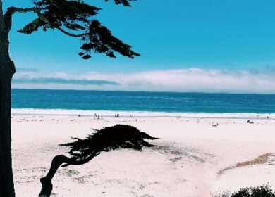 Carmel Beach