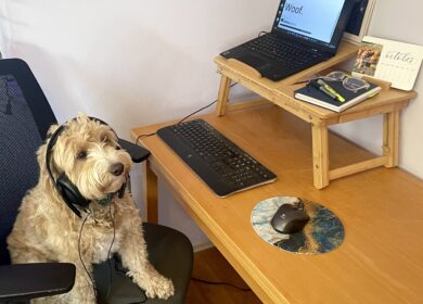 wfh dog