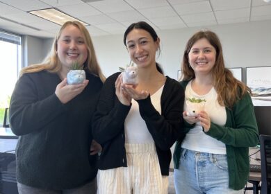 Three young professional standing in an office holding potted succulents.