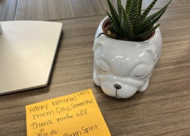 Succulent plant in white pot placed next to bright orange post-it note.