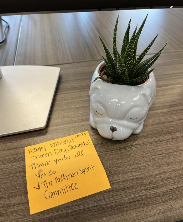 Succulent plant in white pot placed next to bright orange post-it note.